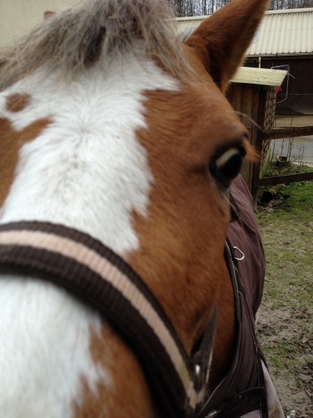 Photo de profil de marnel
