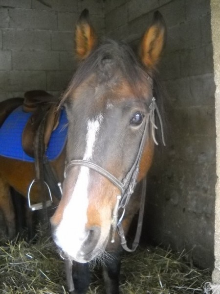 Photo de profil de janette14