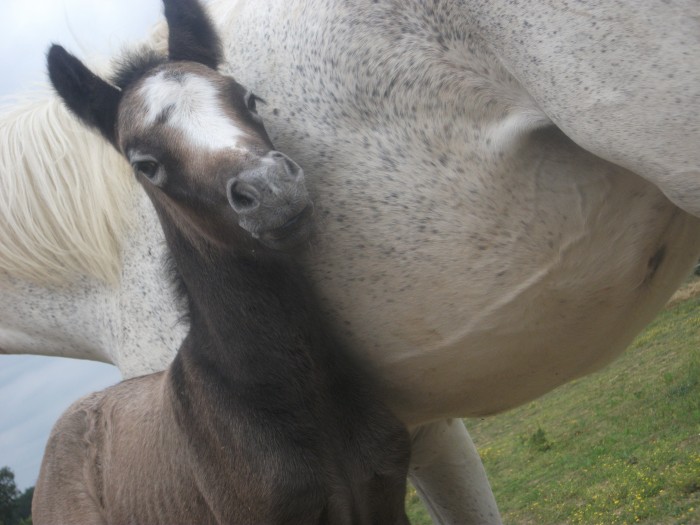 Photo de profil de walczak