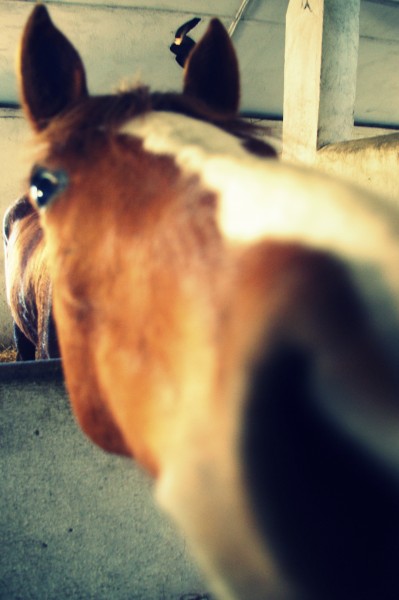 Photo de profil de clemce