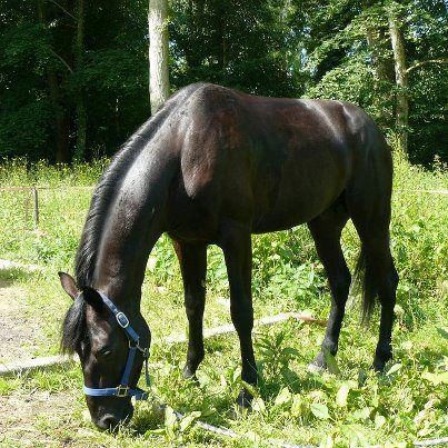 Photo de profil de oxypilou