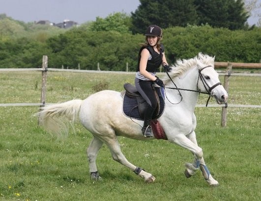 Photo de profil de ncheval