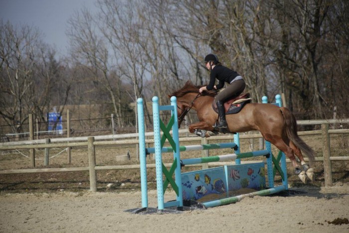 Photo de profil de meli74
