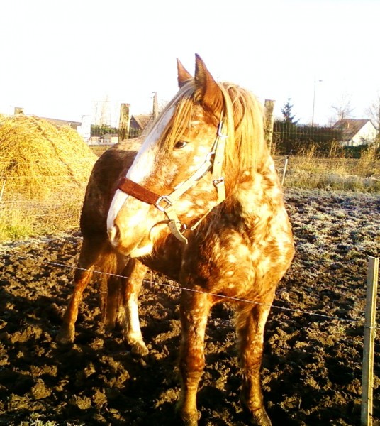 Photo de profil de estelleuracile