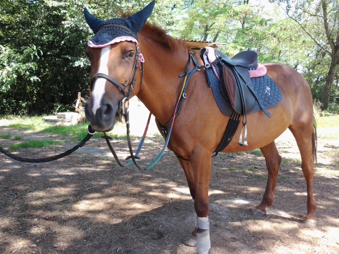 Photo de profil de joy322