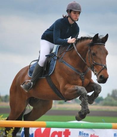 Photo de profil de equitation62