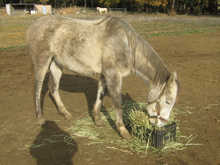 Photo de profil de ulysseoctavie