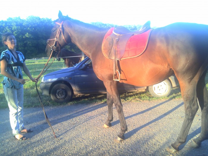Photo de profil de calamityjane_30