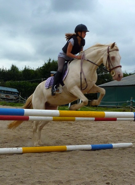 Photo de profil de leohorse