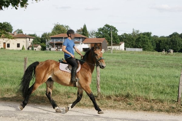 Photo de profil de arno54