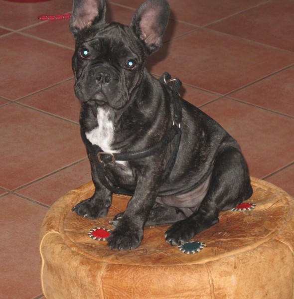 Photo de profil de isabelle1964