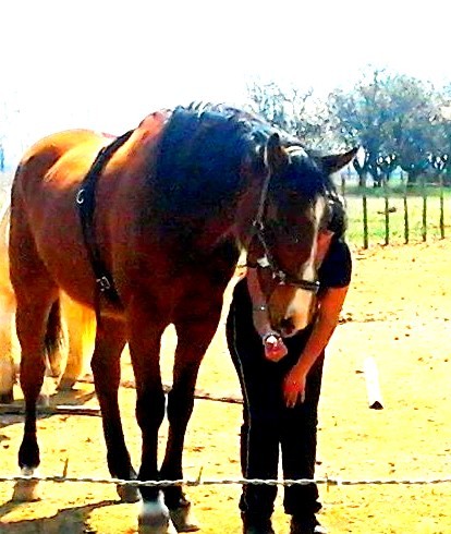 Photo de profil de inesmeziane