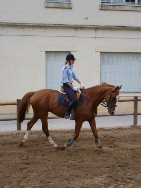 Photo de profil de clemdu72