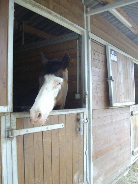 Photo de profil de paradise13