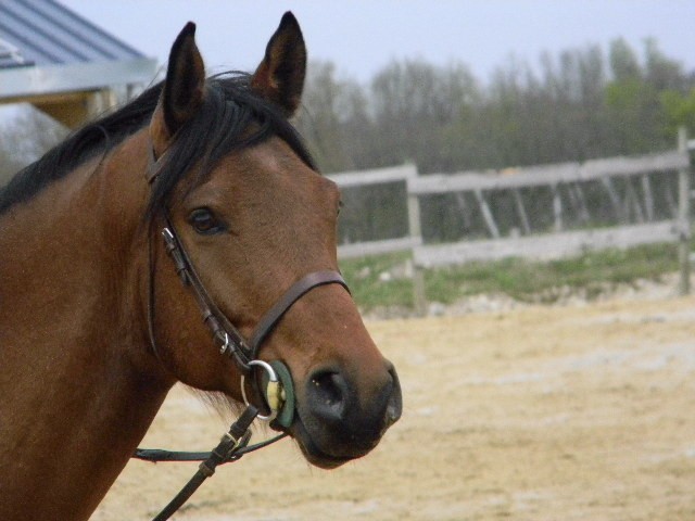 Photo de profil de cloclo.l