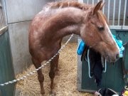 Photo de profil de pioufi