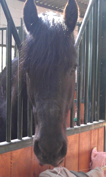 Photo de profil de pralinougat