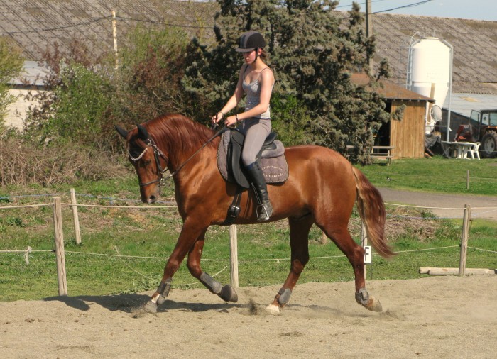 Photo de profil de adeleenvt