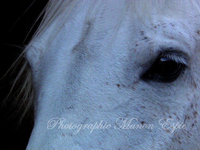 Photo de profil de november21