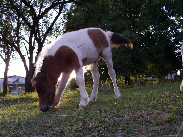 Photo de profil de mohalexia