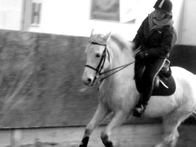 Photo de profil de pilax