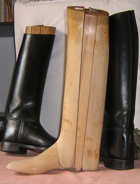 Photo de profil de eliabel