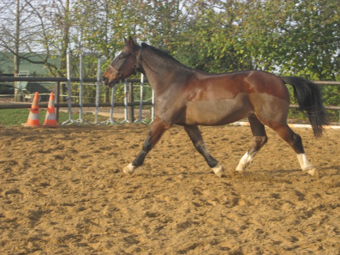 Photo de profil de fduhr