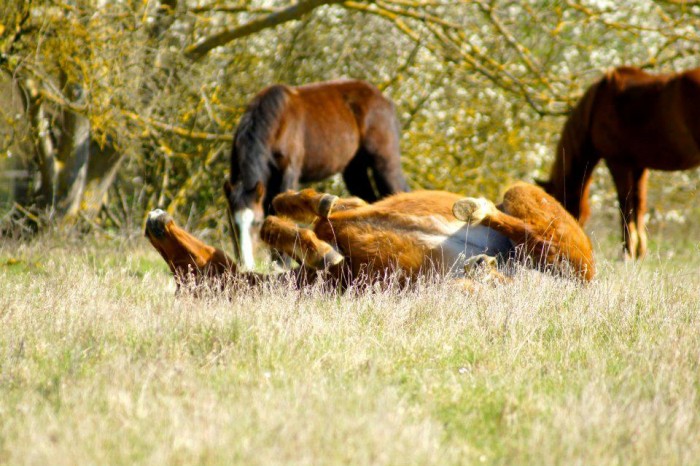 Photo de profil de macamrom
