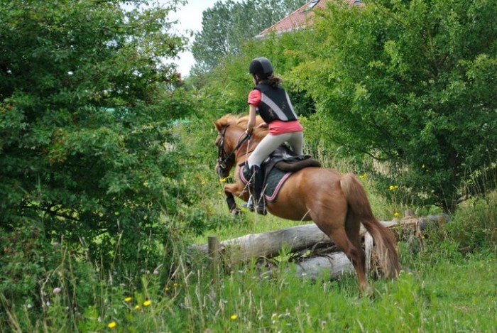 Photo de profil de flavinette