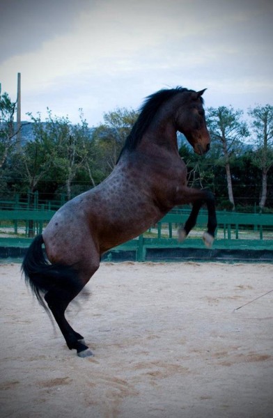 Photo de profil de luxiano