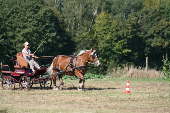 Photo de profil de comtoise94