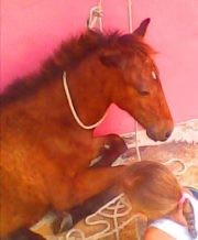 Photo de profil de cyclon