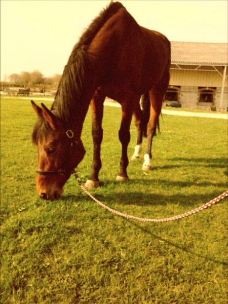 Photo de profil de xsarah