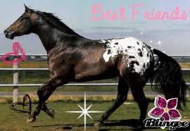 Photo de profil de edelweiss66