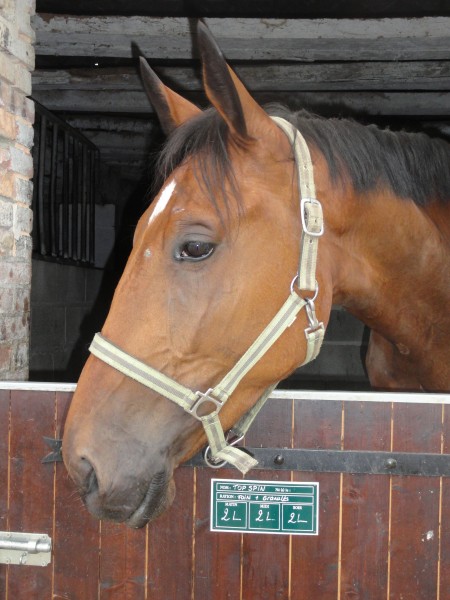 Photo de profil de melissa27110