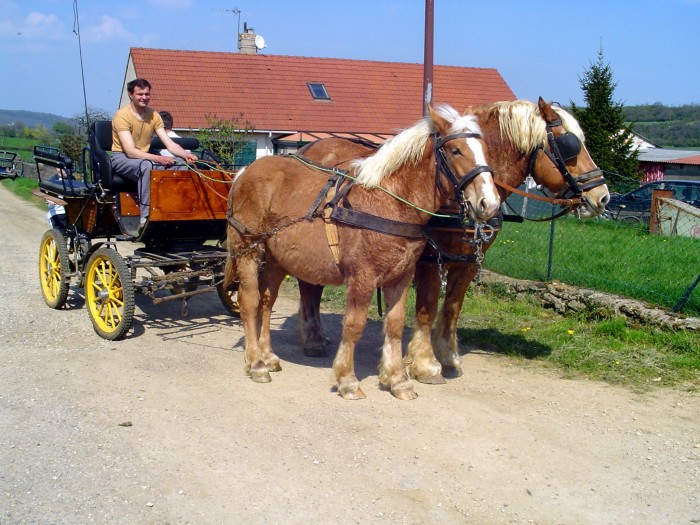 Photo de profil de kajoline11