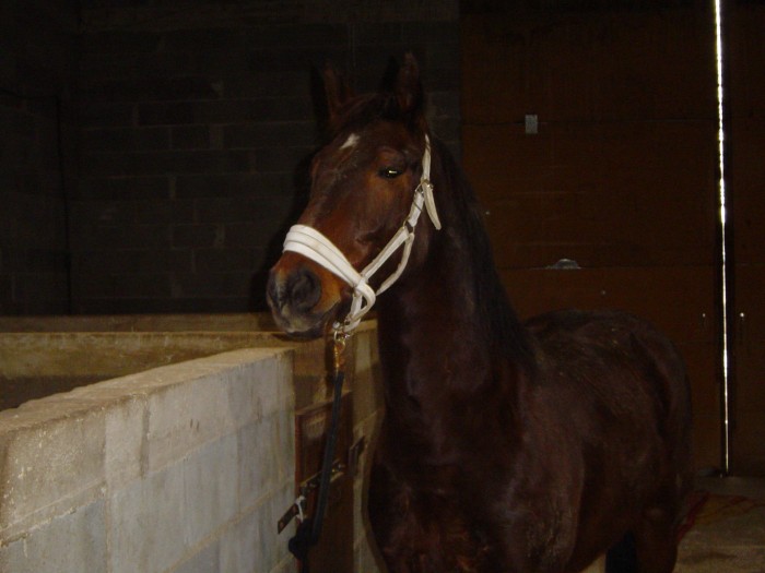 Photo de profil de cedric92100