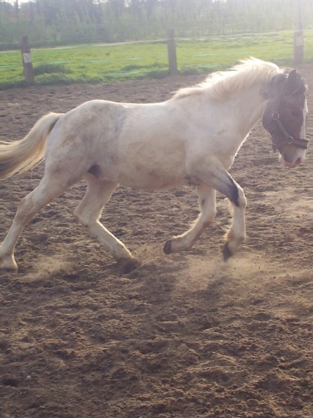 Photo de profil de vegas59