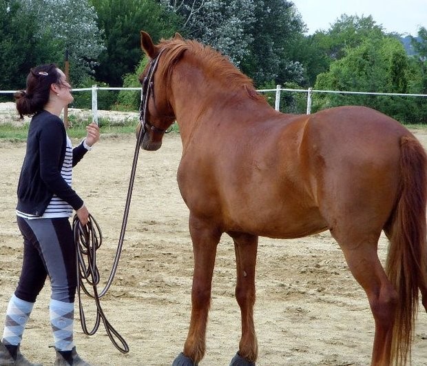 Photo de profil de marionlr
