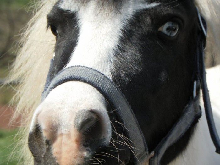 Photo de profil de jeanne43