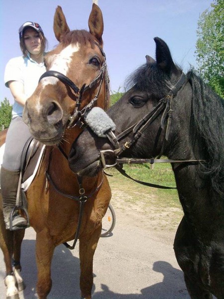 Photo de profil de pauline6215