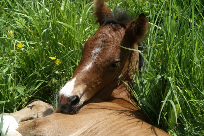 Photo de profil de urtxintxalove64