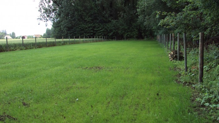 Photo de profil de alinecamici