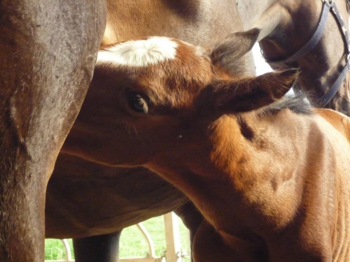 Photo de profil de jumbalaya