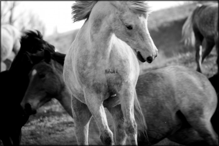 Photo de profil de mat25