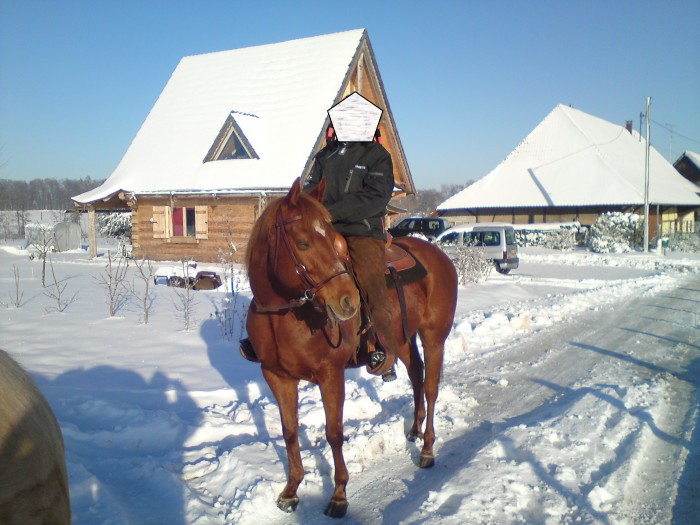 Photo de profil de phoenix123