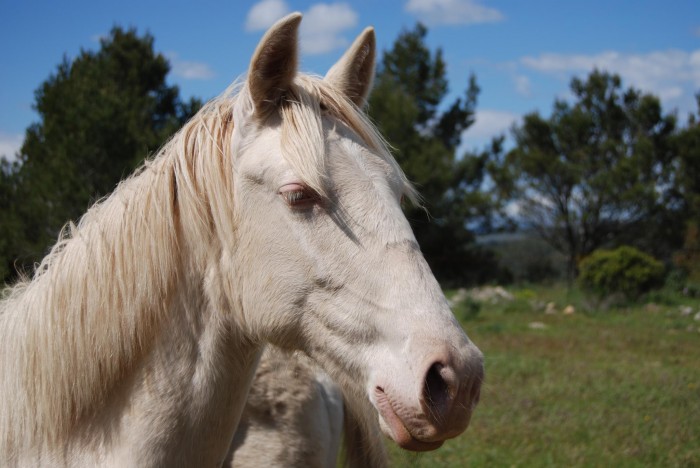 Photo de profil de revecompulsif