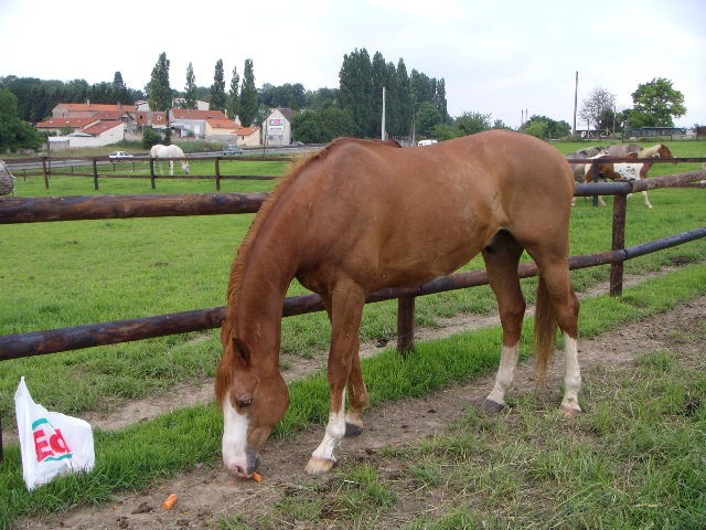 Photo de profil de chryspat
