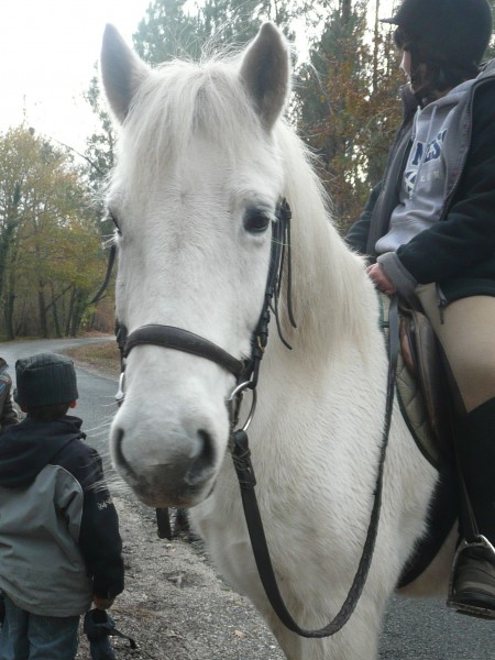 Photo de profil de flora_p