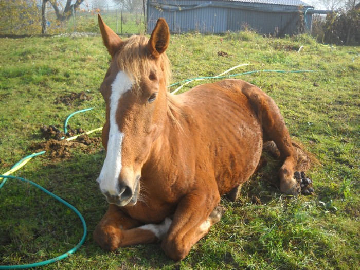 Photo de profil de bibiche-du-89